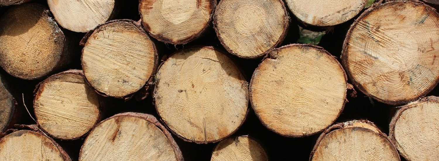 На Луганщині слідчі задокументували факти незаконного перевезення лісоматеріалів: відкрито кримінальні провадження