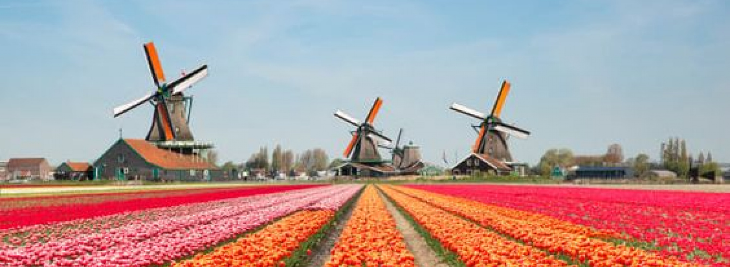 Чому Голландія стала багатою європейською країною, не маючи практично нічого