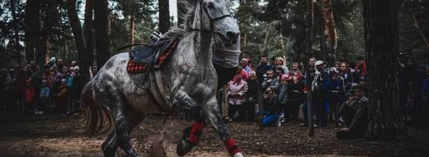 ﻿У Кремінній відбулась вистава кінного театру (ФОТО)