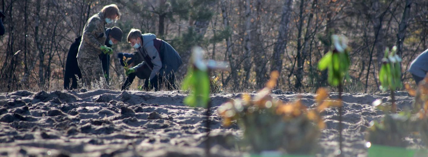 Понад 50 тисяч саджанців дубів висадили на Луганщині у рамках програми Президента «Зелена країна»