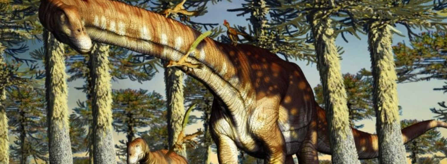 ﻿У Патагонії знайшли останки найдавнішого титанозавра, яким 140 млн років