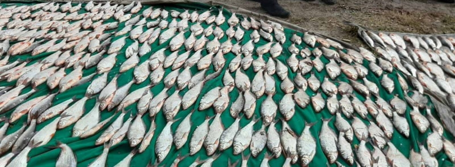 На Полтавщині викрито автомобіль із сітками та незаконно добутою рибою на понад 98 тис. грн. збитків