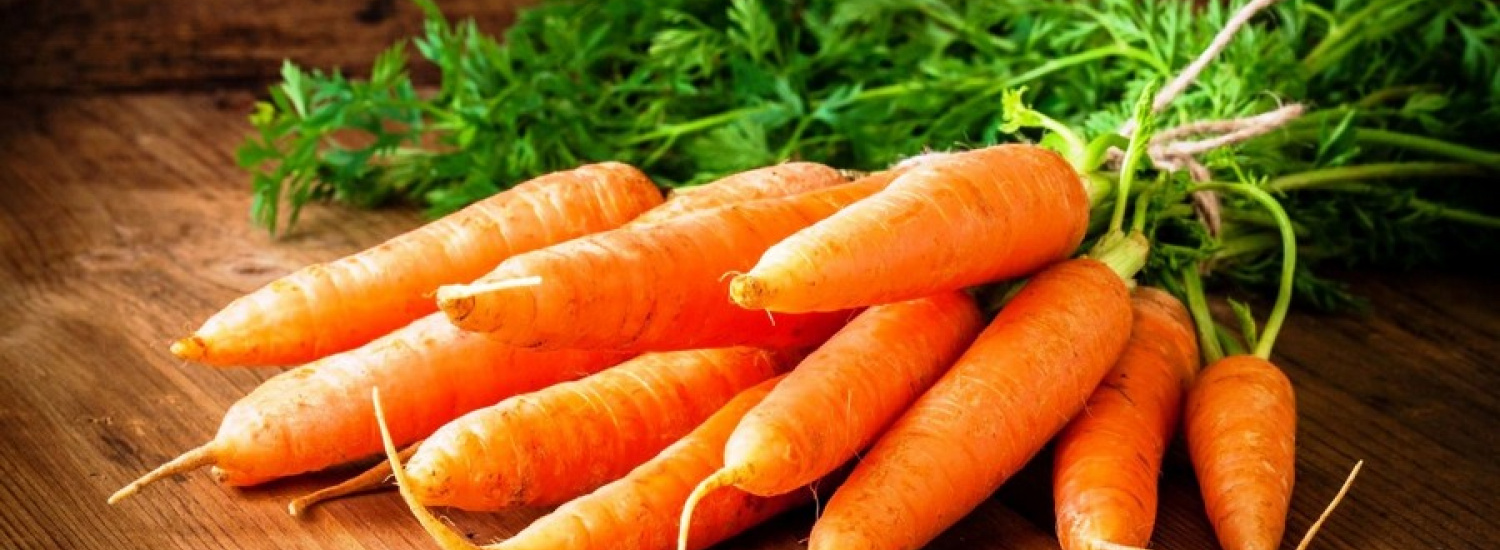 ﻿Підбірка знімків найспокусливішої моркви (ФОТО)