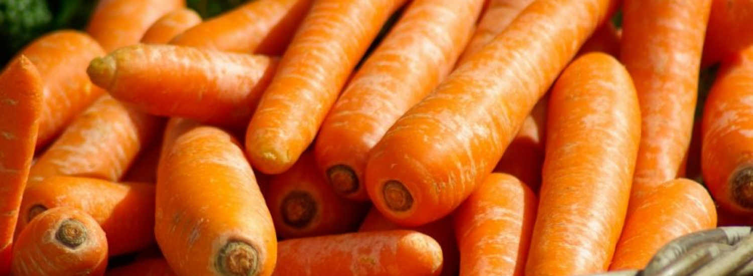 ﻿ Морква чудовисько не на жарт приголомшила британське містечко