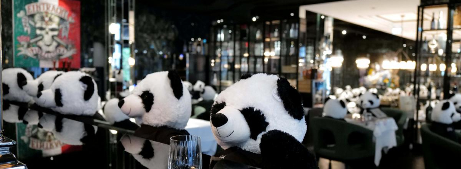 ﻿Один із ресторанів Франкфурта заполонили сотні мімімішних панд (ВІДЕО)
