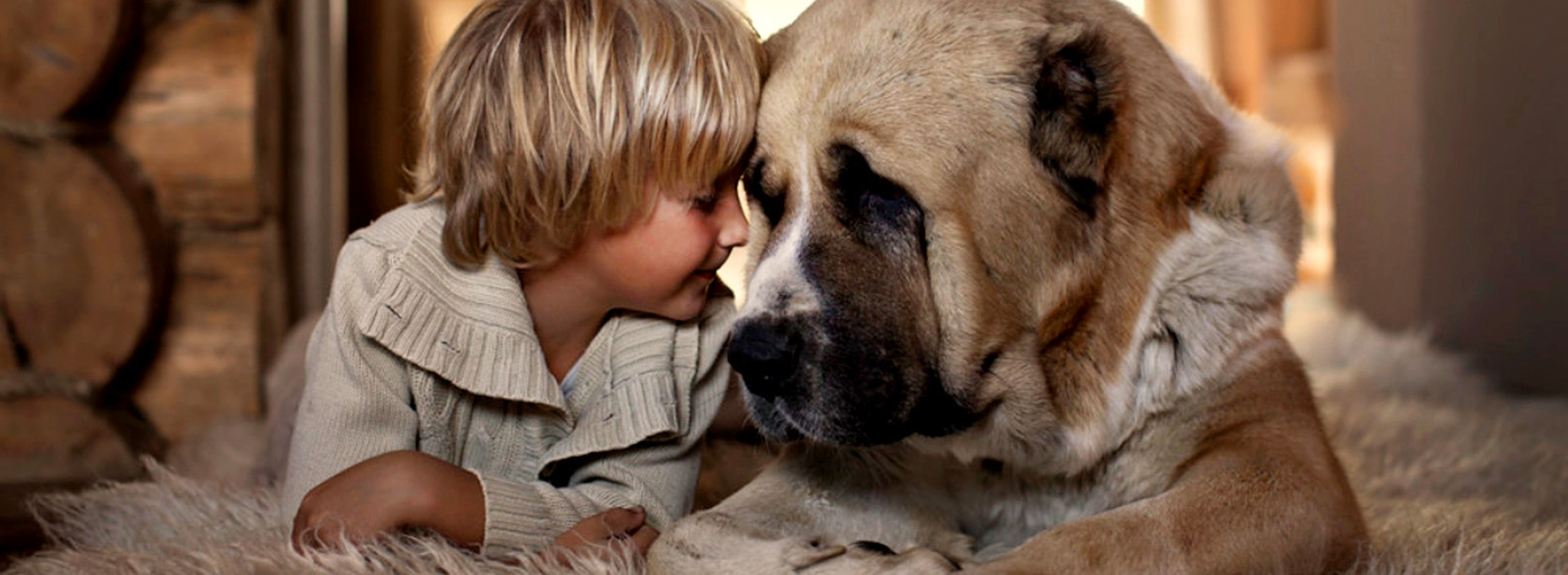 ﻿Популярний вислів "Я тебе люблю" прискорює серцебиття у собак на 46 відсотків