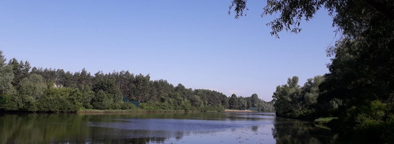 ﻿Керівники СЕС заявляють, що місцевій владі Вишгороду не потрібна чиста вода