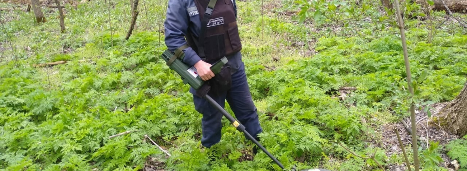 ﻿Піротехніками Луганщини вилучено 34 вибухонебезпечних предмети