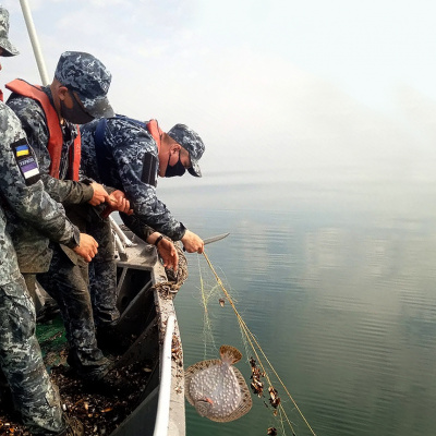 Морські прикордонники виявили браконьєрську пастку з червонокнижними мешканцями