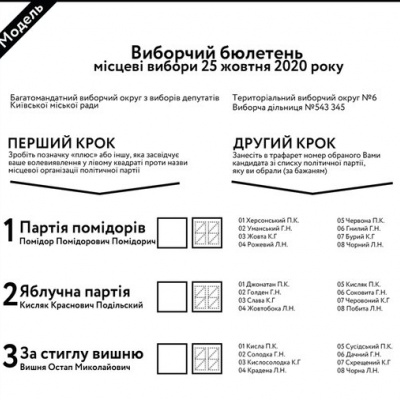 ﻿Центральна виборча комісія роз'яснила порядок заповнення виборчого бюлетеня