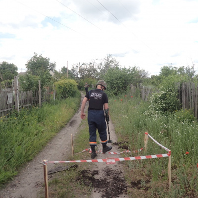 Піротехніками в Луганській області виявлено та вилучено 46 артилерійських снарядів