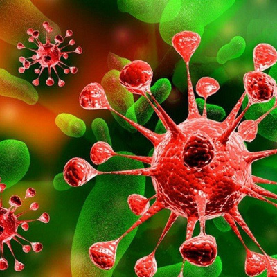 Всесвітня організація охорони здоров’я повідомила про нову мутацію коронавірусу «пірола»: деталі