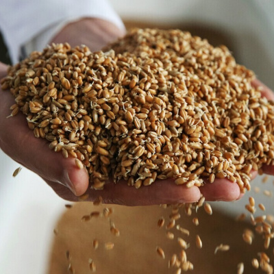 Єврокомісія скасувала обмеження щодо експорту українського зерна