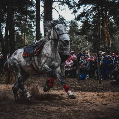 ﻿У Кремінній відбулась вистава кінного театру (ФОТО)