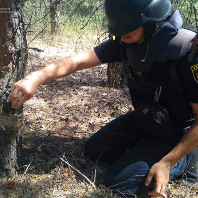 Піротехніками на Луганщині виявлено та вилучено 28 артилерійських снарядів