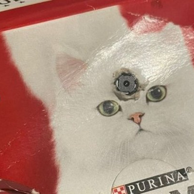 У Великій Британії чоловік купив котячий корм, в якому було заховано приховану «шпигунську камеру»: фото