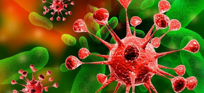 Всесвітня організація охорони здоров’я повідомила про нову мутацію коронавірусу «пірола»: деталі
