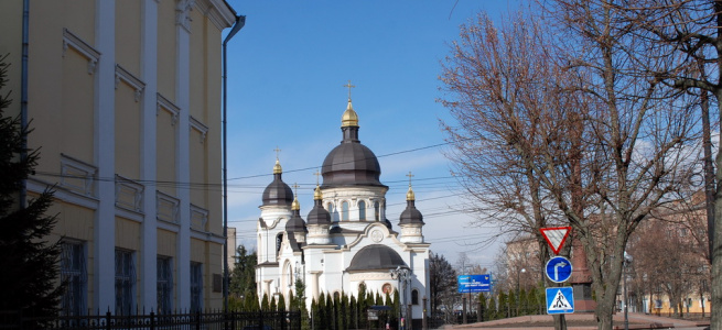 Рейдерський захват ДНМУ (хронологія подій, частина 10)