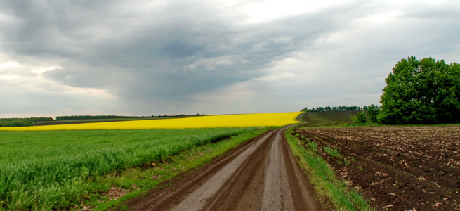 Ганнівська сільська рада «дерибанить» землі атовців