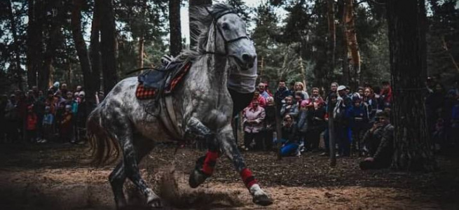 ﻿У Кремінній відбулась вистава кінного театру (ФОТО)