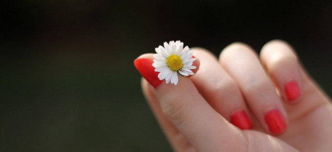 Маєте ламкі нігті: експерти розповіли як укріпити нігтьову пластину в домашніх умовах