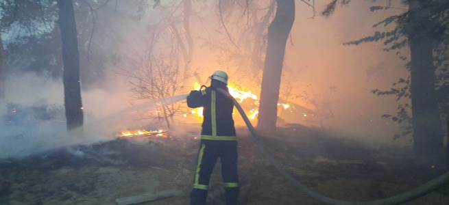 Луганщина у вогні: громадськість виступила за відставку голови Луганської обласної ВЦА