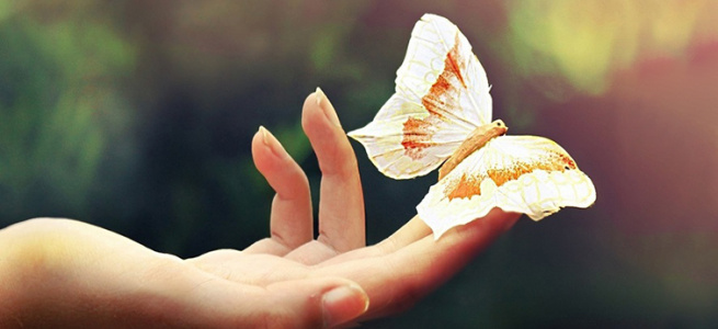 Єдність людської природи