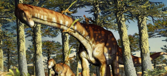 ﻿У Патагонії знайшли останки найдавнішого титанозавра, яким 140 млн років