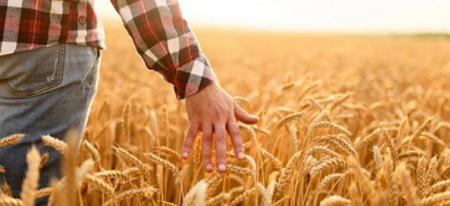 Молоді українські фермери матимуть підтримку від держави, – Роман Лещенко