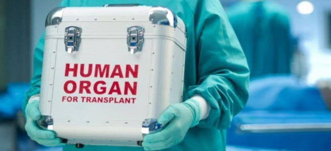 Президент Володимир Зеленський підписав Закон, покликаний розв’язати питання оплати трансплантацій