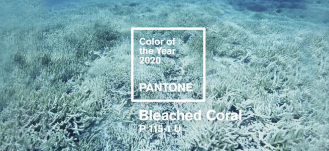 ﻿Модна палітра кольорів Pantone: осінь-зима 2020\2021