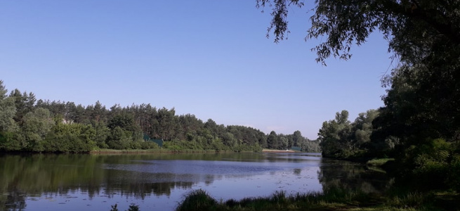 ﻿Керівники СЕС заявляють, що місцевій владі Вишгороду не потрібна чиста вода