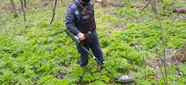 ﻿Піротехніками Луганщини вилучено 34 вибухонебезпечних предмети