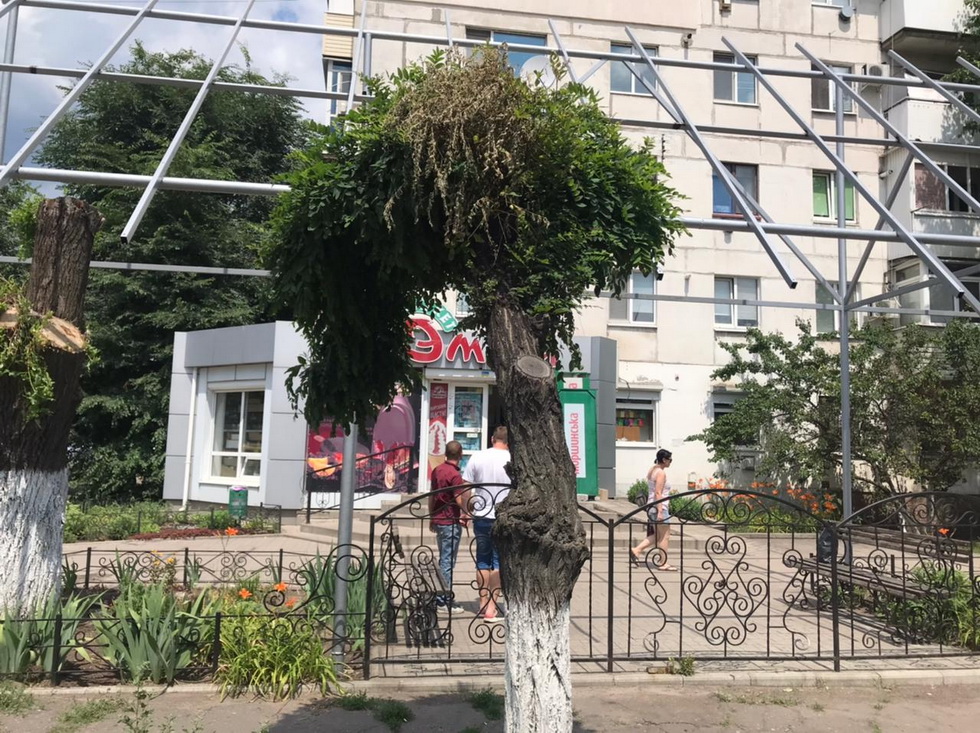 дерево біля магазину