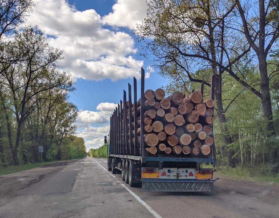 вантажівка з лісом