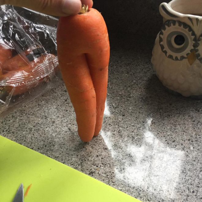морк 1