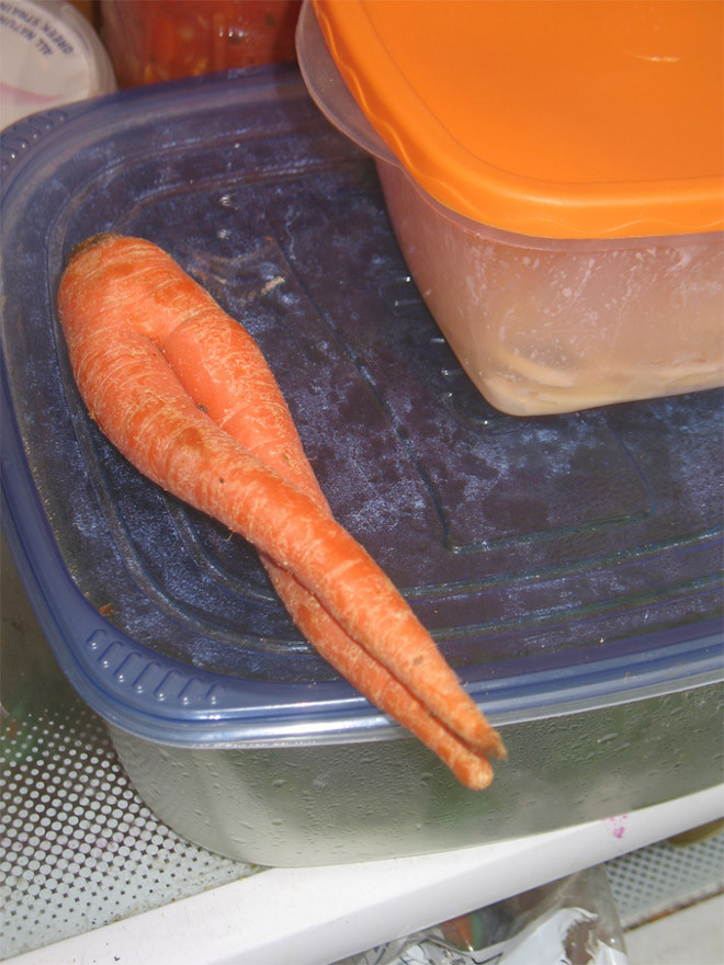 морк 2