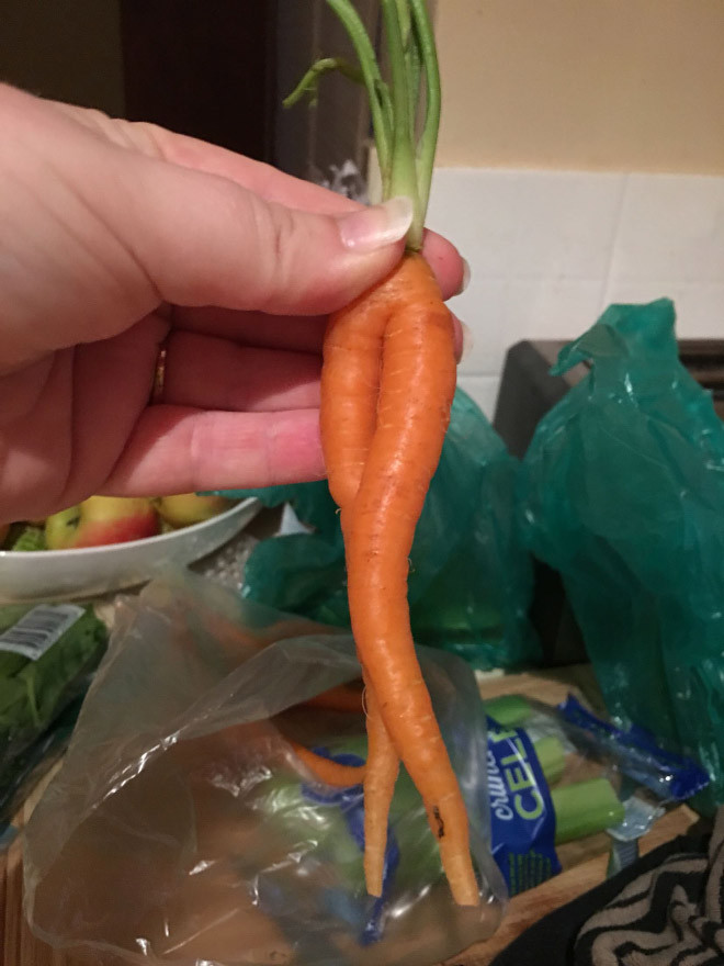 морк 3