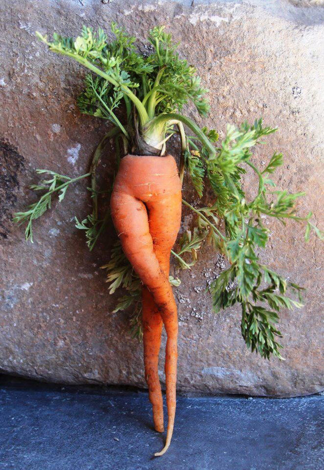 морк 5