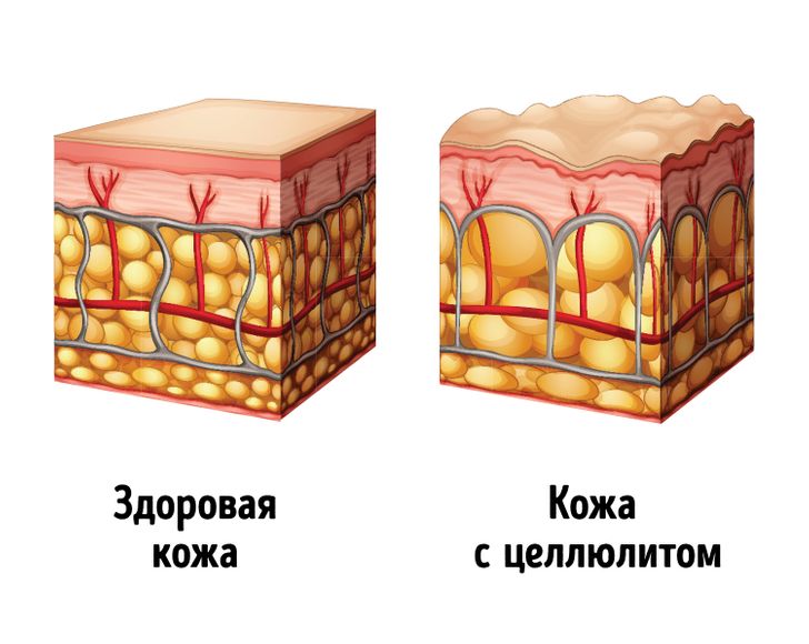 цел 1